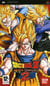 Dragon ball z : shin budokai 2