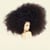 Asile exquis