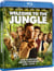 Welcome to the Jungle