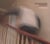 From etudes to cataclysms - CD