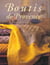 Les boutis de provence