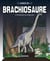 Dino bd - t03 - brachiosaure - l'herbivore au long cou