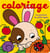 Coloriage journée de petit lapin