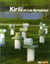 Kirili et les nymphéas