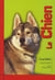 Le chien. l'ami fidele
