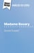 Madame Bovary de Gustave Flaubert (Analise do livro) : Analise completa e resumo pormenorizado do trabalho
