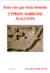 3 [trois] vies, cyprien, ambroise, augustin par temoins