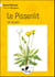 Le pissenlit, l'or du pré !