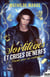 Sortileges et crises de nerfs Tome 1 : cavale pour un enchanteur