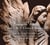 Opus 1 and 3: church sonatas