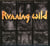Riding the storm, the very best of the Noise years 1983-1995