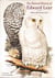 The natural history of edward lear