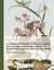 Collection précieuse et enluminée des fleurs les plus belles et plus curieuses de Chine et Europe