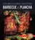 Barbecue et plancha