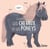 Connais-tu ? Les chevaux et les poneys