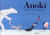 anoki