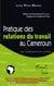 Pratique des relations du travail au Cameroun par l'exemple et les chiffres