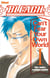 Bleach : can't fear your own world Tome 1
