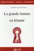 La grande famine en Irlande 1845-1851