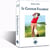 Le golfeur foudroyé