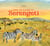 Dans les plaines du Serengeti