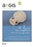 Excavations at Pyla-Kokkinokremos : Report on the 2014-2019 campaigns
