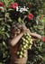 Revue Epic n.11 : Média lent, images larges