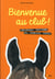 Bienvenue au club ! journal intime du cheval Crac