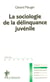 La sociologie de la délinquance juvénile