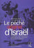 Le peche originel d'israel - l'expulsion des palestiniens re