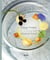 Franck Putelat, ma cuisine classique-fiction