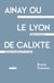 Ainay ou le Lyon de Calixte : Noblesse et bourgeoisie, catholicisme et légitimisme, XIXe-XXe siècles