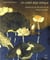 Un soleil déjà oblique - variations sur 40 poèmes de Misuzu Kaneko