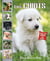 Tout un monde en photos - les chiots