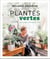 Plantes vertes. une jungle entre quatre murs