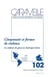 Citoyenneté et formes de violence : la violence de genre en Amérique latine