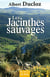 Les jacinthes sauvages