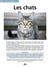 Les chats