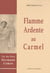 Flamme ardente au carmel - vie du père hermann cohen