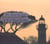 De Rochefort à la Rochelle - entre mers et marais