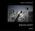 Marco gualazzini resilient