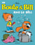 Boule & Bill Tome 19 : ras le Bill !