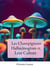 Les Champignons Hallucinogènes et Leur Culture : Tout Savoir