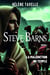 Steve Barns : La malédiction du Temple