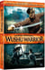 Wushu Warrior