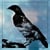 Oiseau
