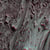 Candor chasma