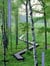 Gardens Without Boundaries
