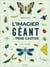 L'Imagier géant du Père Castor : Les insectes