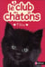 Le club des chatons 6: Filou